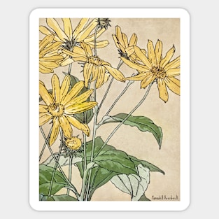 Sunflowers  by Hannah Borger Overbeck Sticker